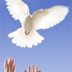 MONSIEUR ROLAND BEAUDRY