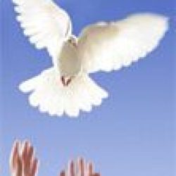 Père Raymond Locat C S V