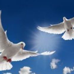 Monsieur CARL BEAUNOYER